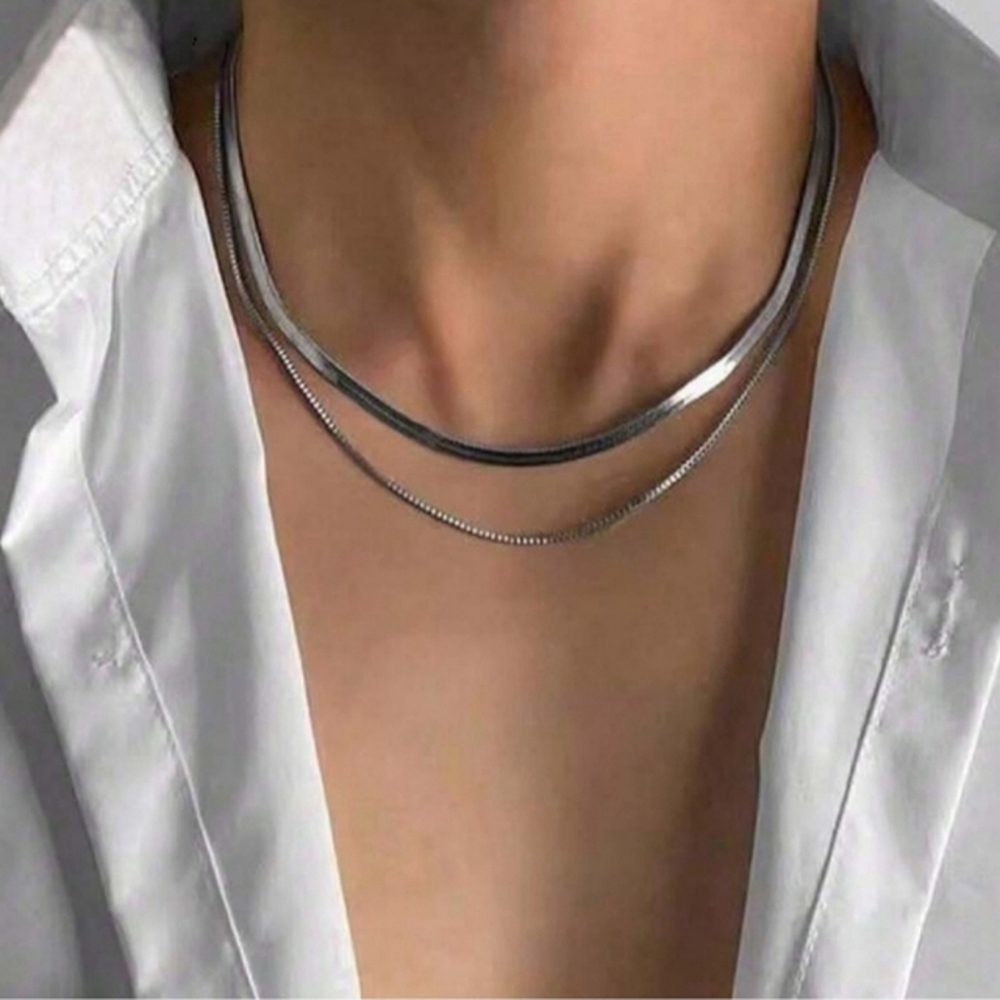 Anthropologie Double Layer Silver Herringbone Necklace